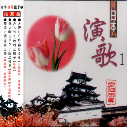 様々なアーティスト - 日本演歌鑑賞